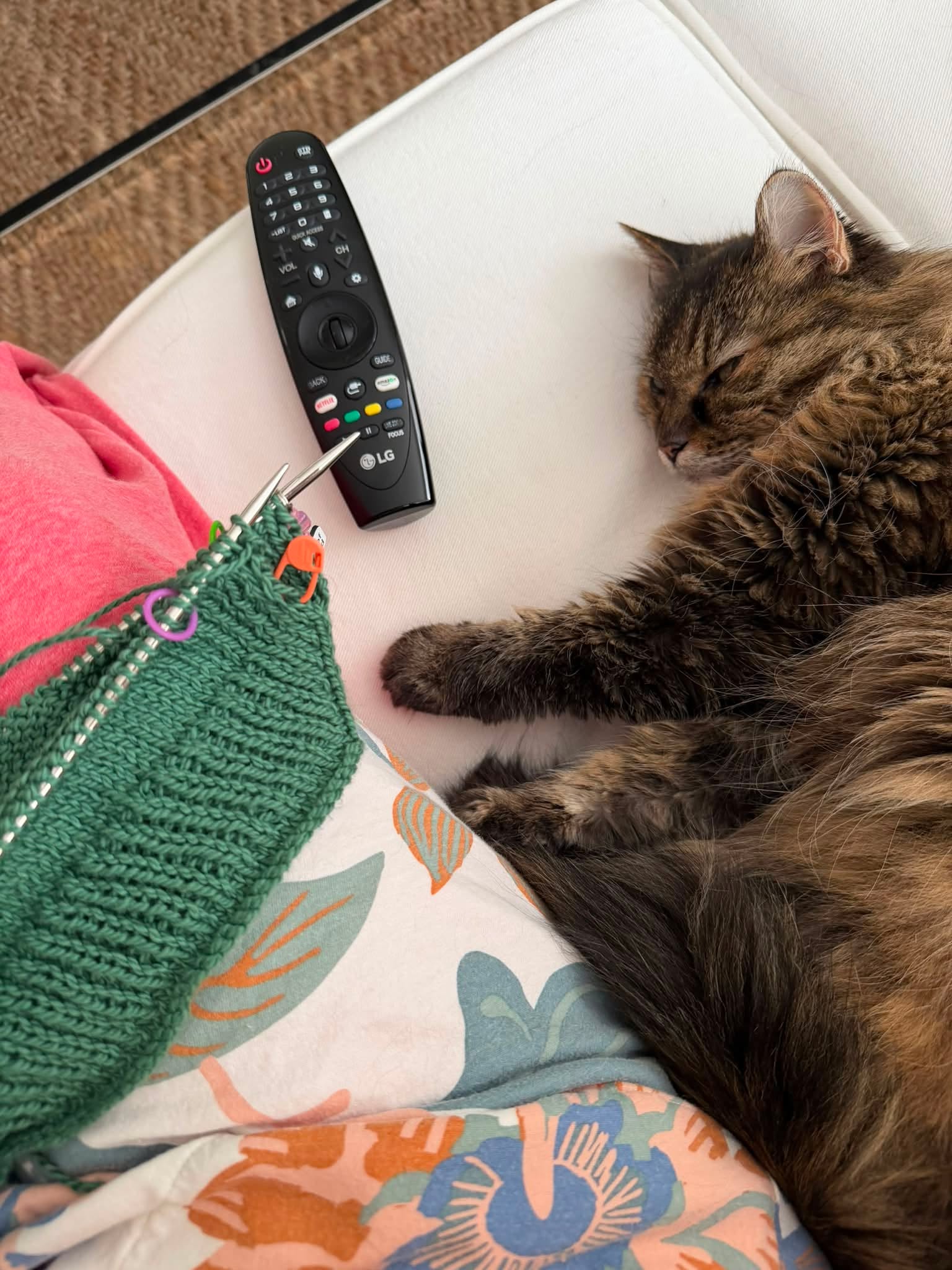 Soccer ⚽️ + Knitting 🧶 + Kitty 🐈‍⬛ = PERFECT DAY!